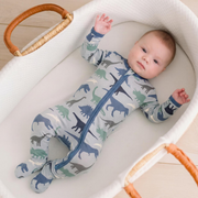 Dove Dino Museum Kickee Footie