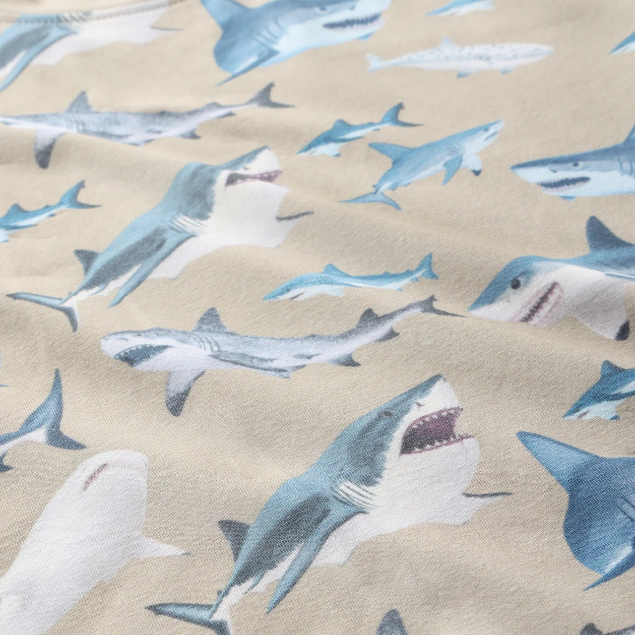 Shark Minymo Boys Short Sleeve