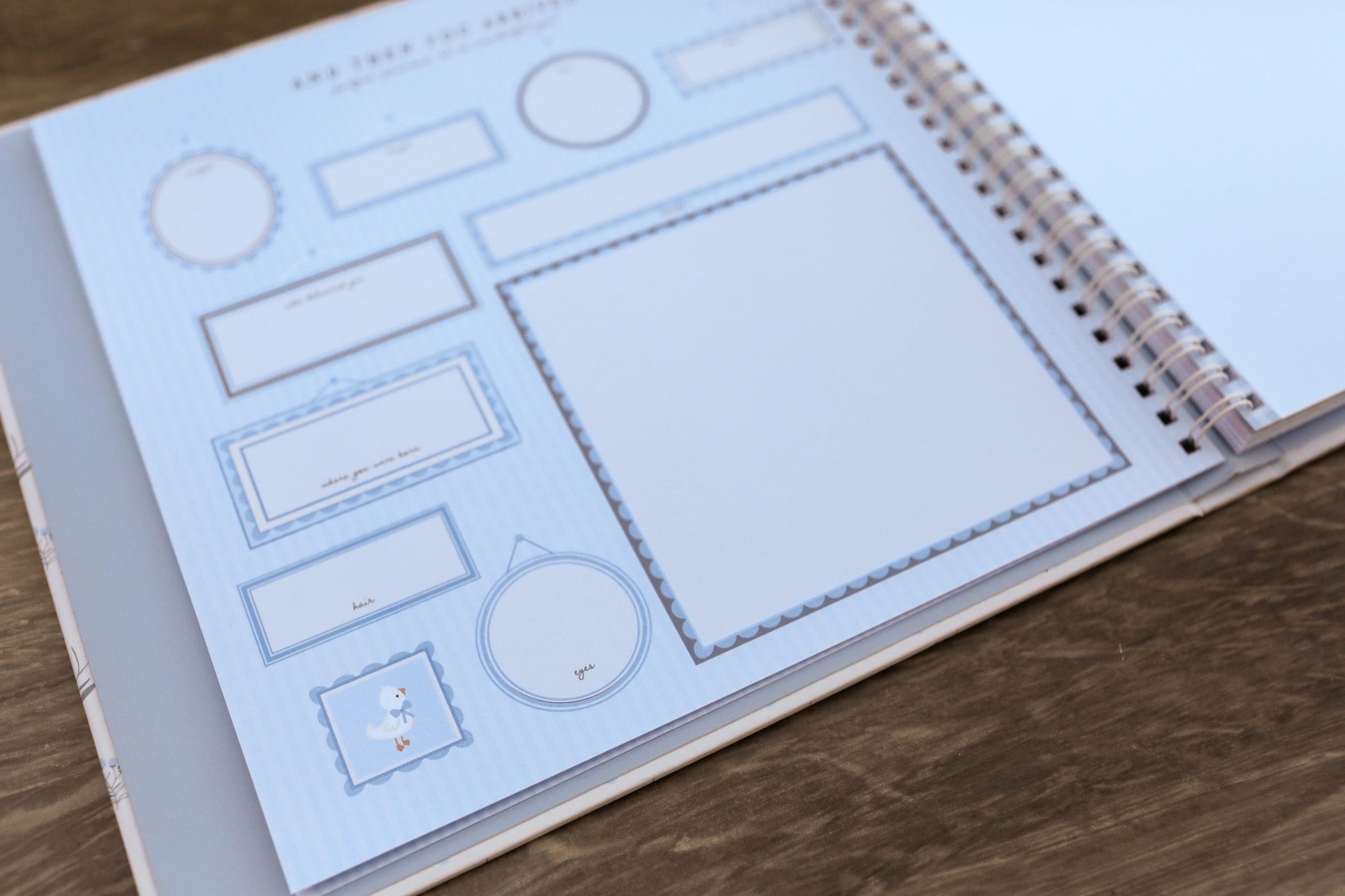 Little Goose Baby Memory Book