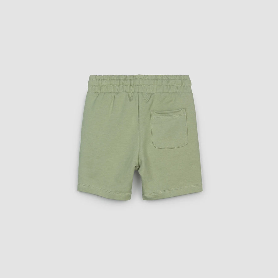 Tea Green Shorts