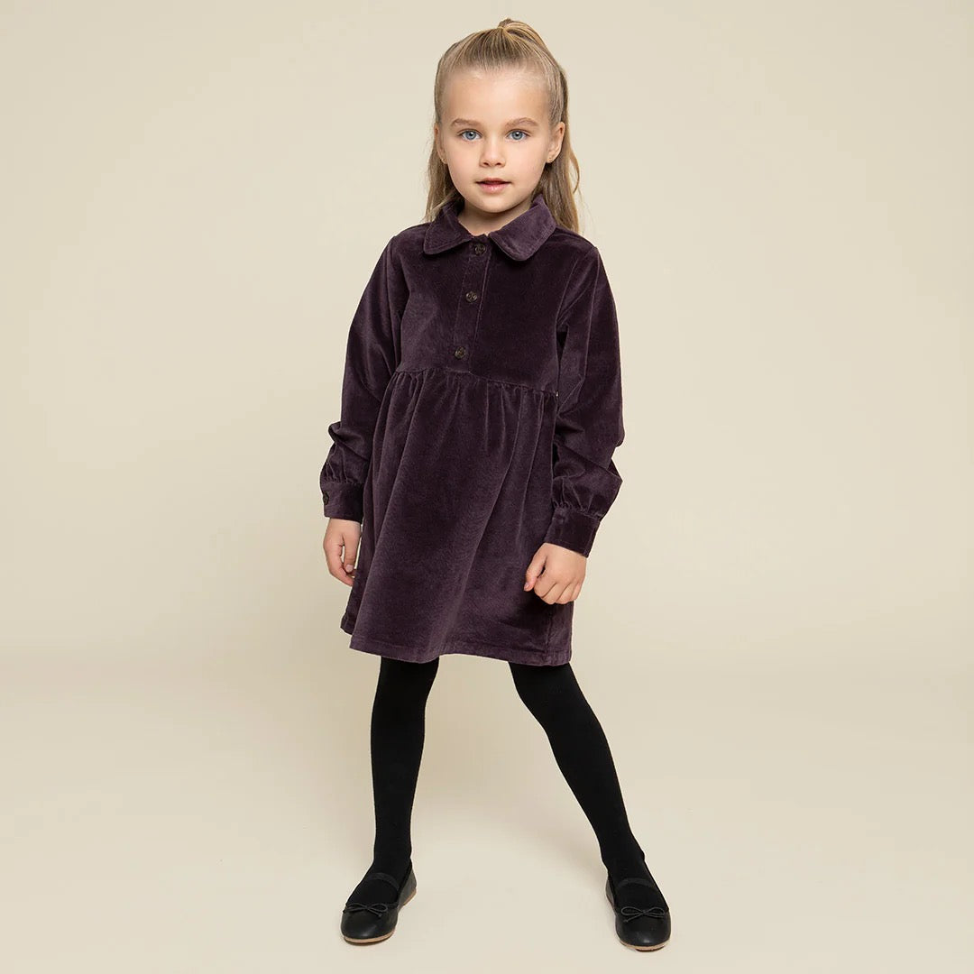 Plum Corduroy Collard Dress