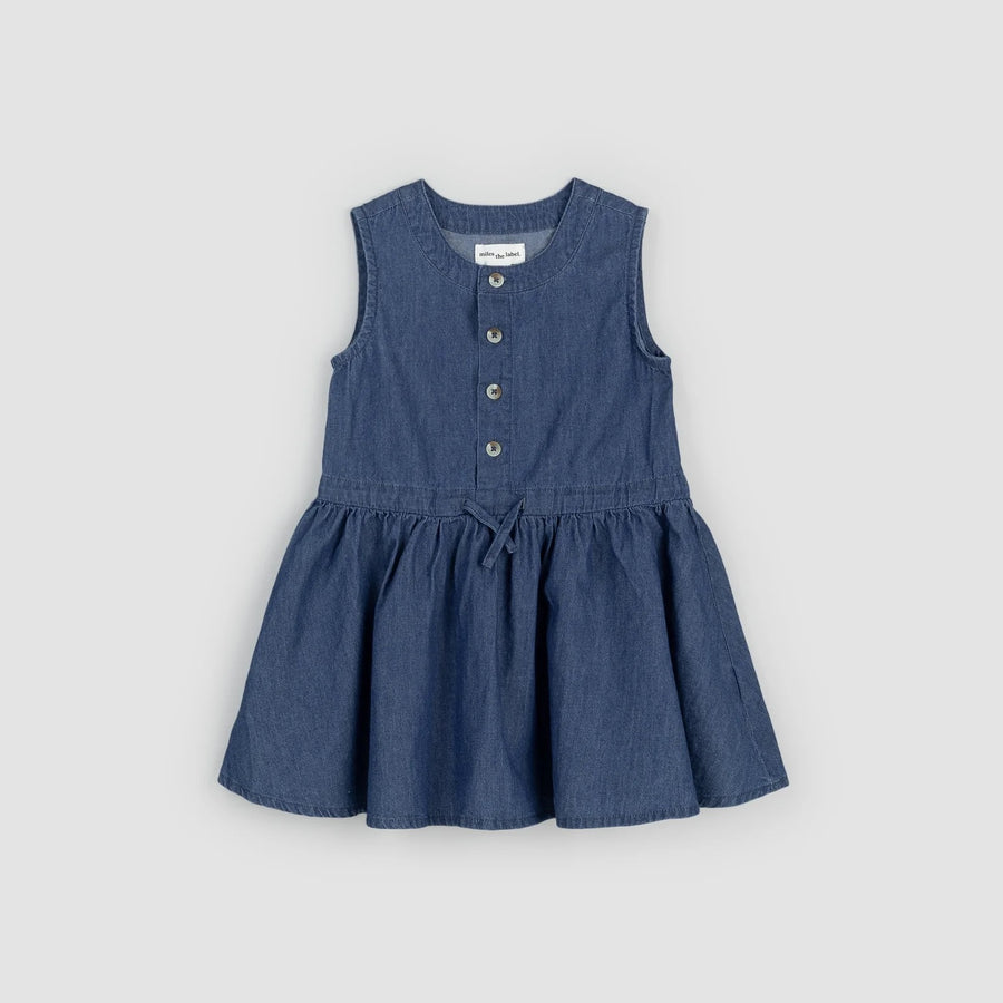 Chambray Sleeveless Front-Button Dress