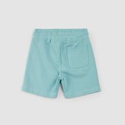 Reef Terry Shorts