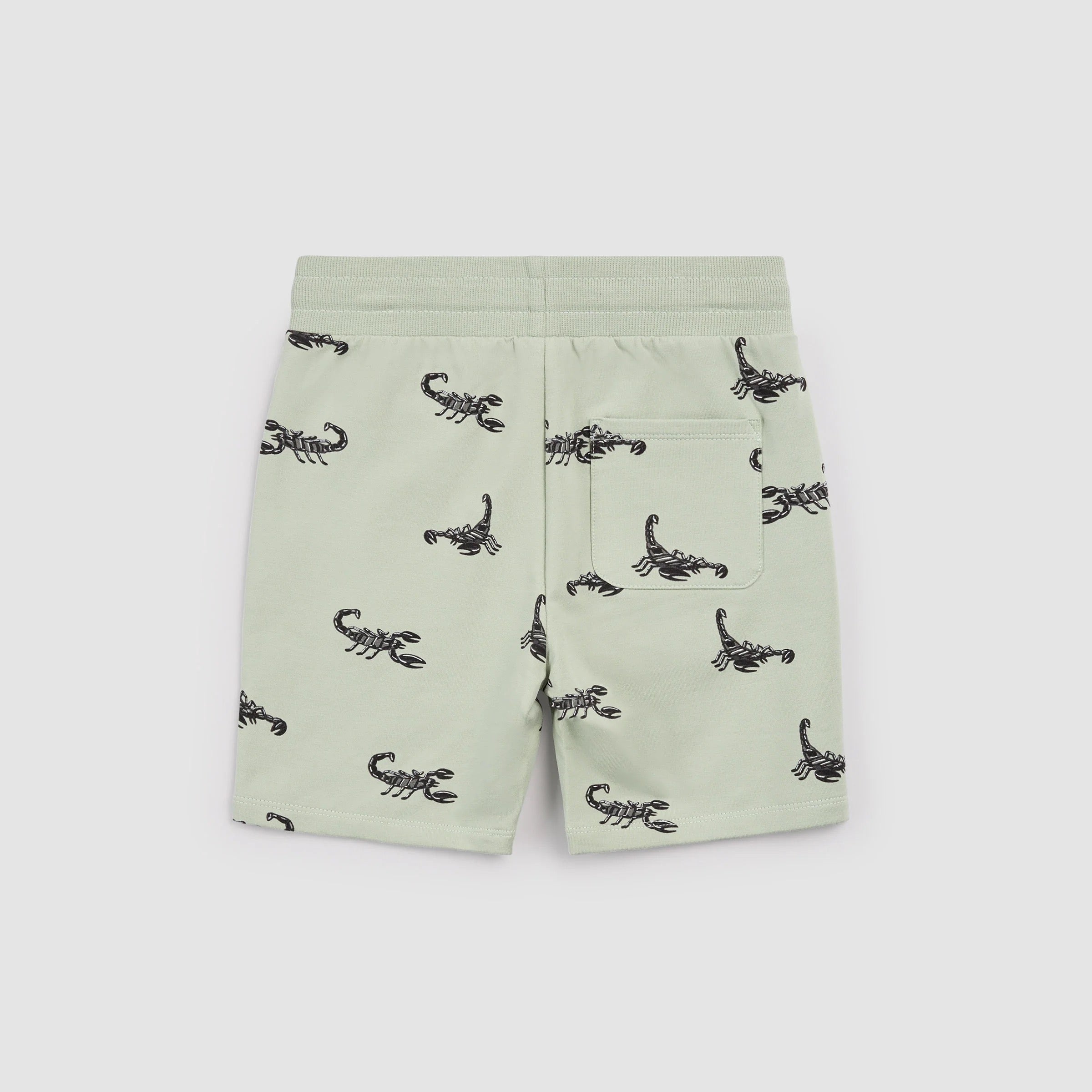 Scorpion on Sage Shorts