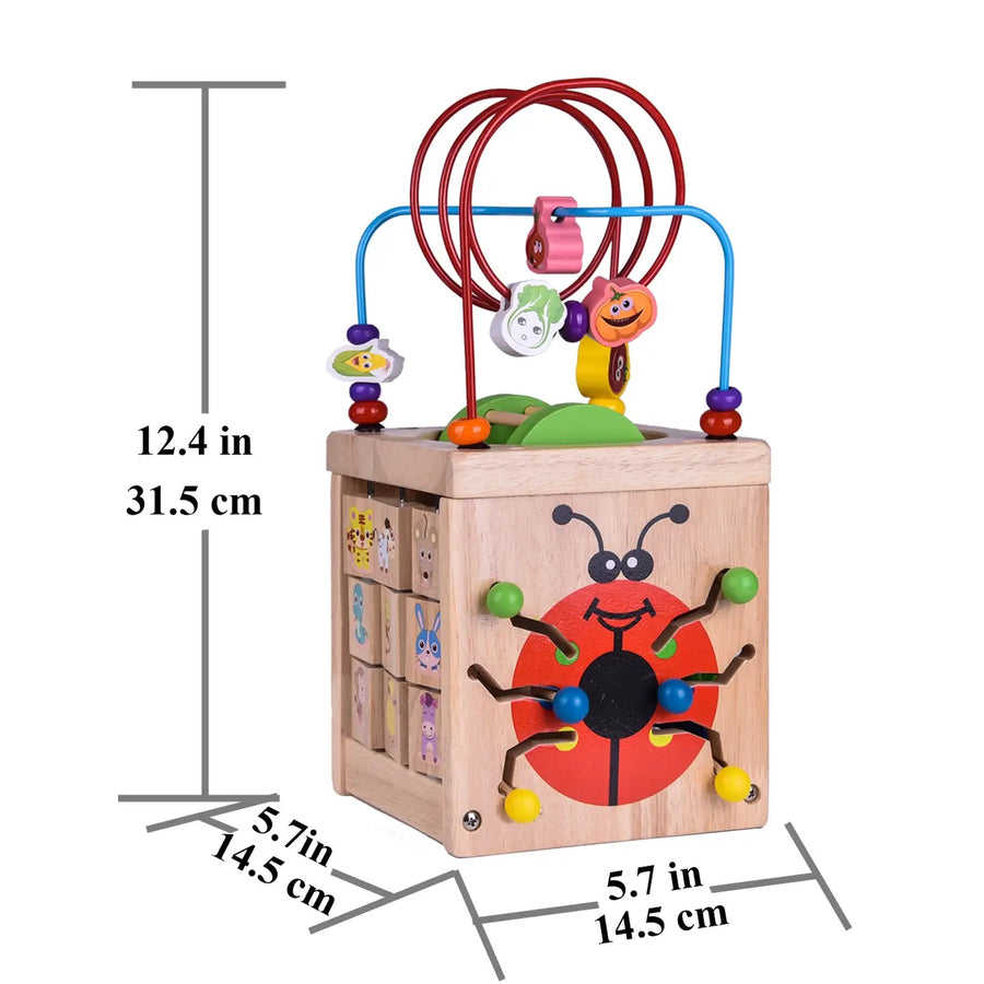 Wooden Cube Activity