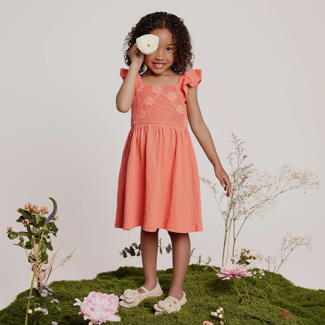 Coral Ruffled Sleeve Dress