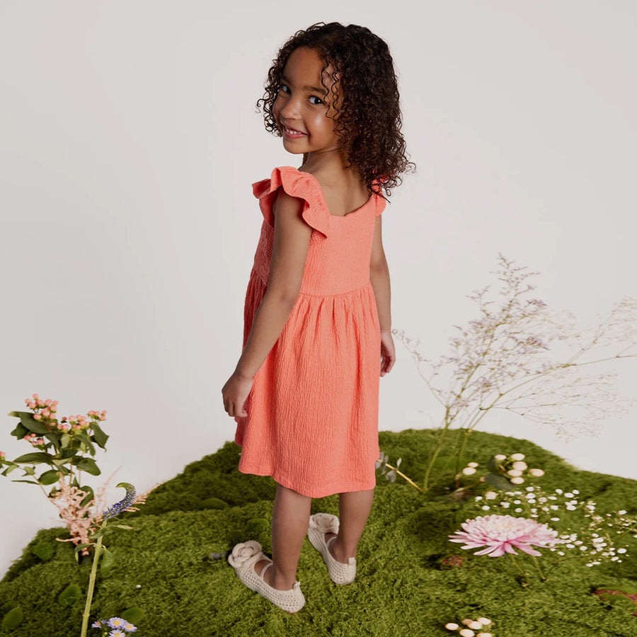 Coral Ruffled Sleeve Dress