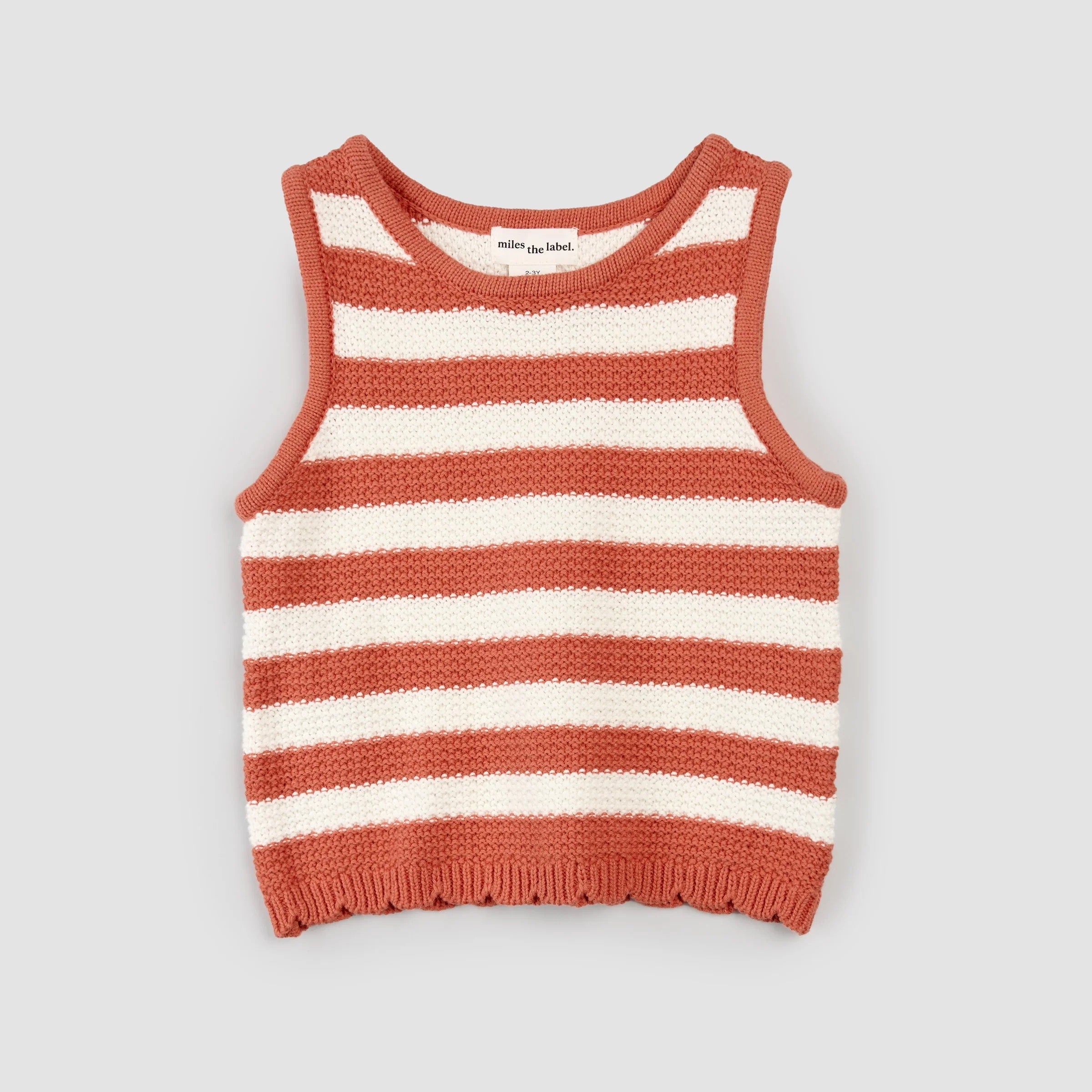 Apricot & Birch Striped Crochet Knit Tank Top